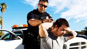 Under Arrest — foto 2