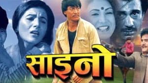 साईनो — foto 1