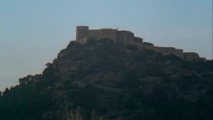 Fèlix a la muntanya de Sant Cebrià — foto 1