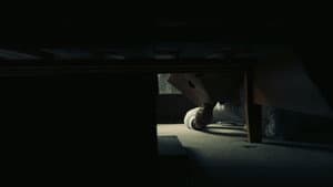 LATE — foto 2