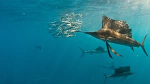 Deep Sea Killers — foto 2
