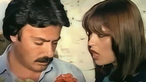 Olmaz Olsun — foto 1