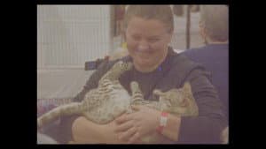 Considering Cats — foto 5