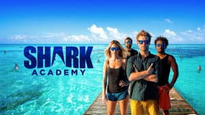 Shark Academy — foto 3