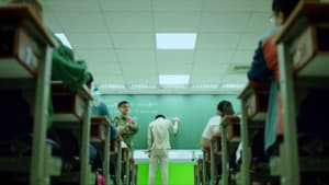 貓的孩子 — foto 1