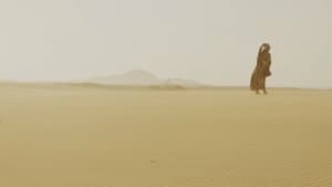Alma del Desierto — foto 2