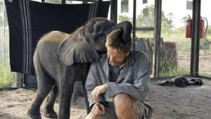 Naledi: A Baby Elephant's Tale — foto 5