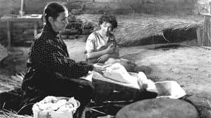La negra Angustias — foto 1