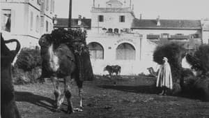 Marché aux charbons (avec chameaux) — foto 1