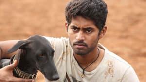 பரியேறும் பெருமாள் — foto 8