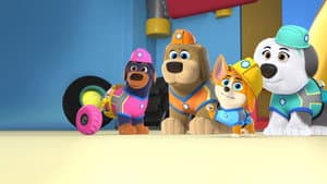 Cachorros a la obra — foto 9