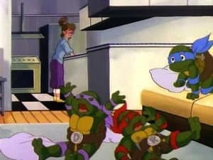 Las tortugas se encogieron