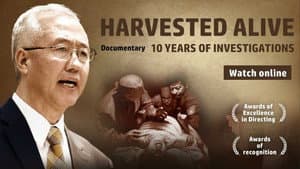 Harvested Alive - 10 Years of Investigations — foto 1