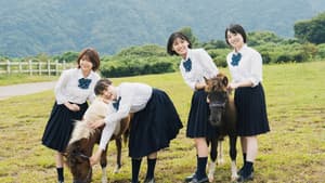 17歳は止まらない — foto 1