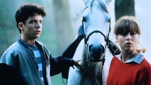 The Rogue Stallion — foto 1