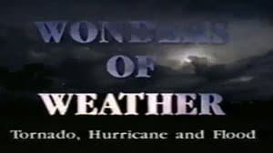 Tornado! Hurricane! Flood!: Wonders of the Weather — foto 1
