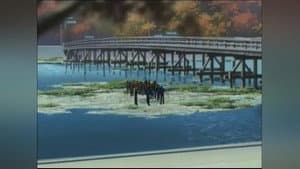 Episodio 13