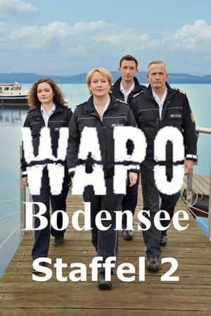 Temporada 2