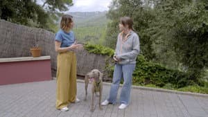 Episodio 5