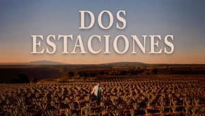 Dos Estaciones — foto 5