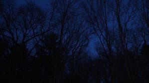 Hollow Walker of the Lake — foto 1