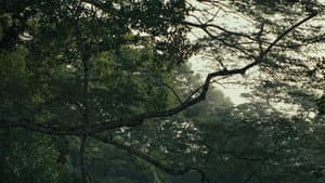 Cautiverio — foto 1