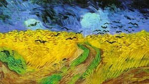 Van Gogh - Tra il grano e il cielo — foto 1