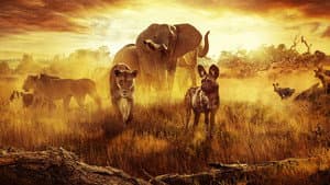 El paraíso que sobrevive: Un legado familiar — foto 2