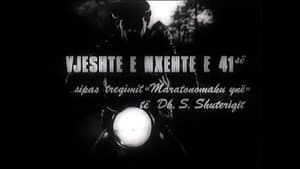 Vjeshtë e nxehtë e '41 — foto 1