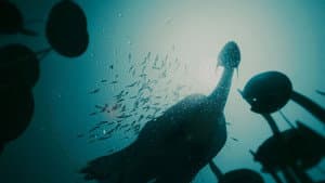 Nessie Junior — foto 2