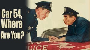 Car 54, Where Are You? — foto 2