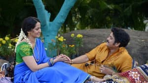 సోగ్గాడే చిన్నినాయనా — foto 7