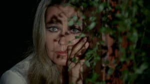 El ojo del huracán — foto 1
