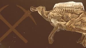 Secrets of the Dinosaur Mummy — foto 1