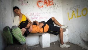 Guacho — foto 5