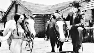 The Oregon Trail — foto 1