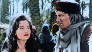 Lo sceicco rosso — foto 1
