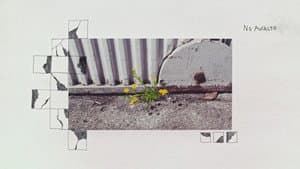 Maleza — foto 1