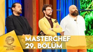 Episodio 29
