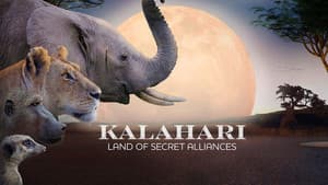 Kalahari: Land of Secret Alliances — foto 2