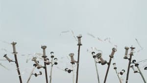 I Am Not a Witch — foto 3