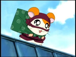El Robin Ham