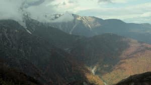 Do you hear the wind in the pine trees? — foto 10