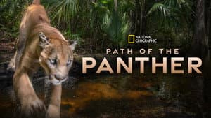Path of the Panther — foto 6