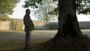 L'Arbre et la forêt — foto 1