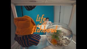 Life in a Fishbowl — foto 1