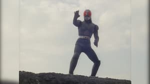 仮面ライダー１号～ＲＸ大集合 — foto 1