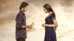 దొరసాని — foto 4