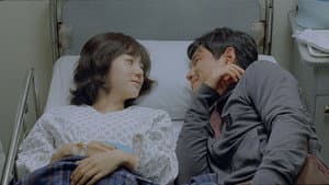 행복 — foto 1