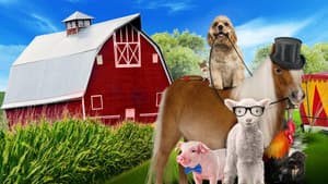 A Dog and Pony Show — foto 1